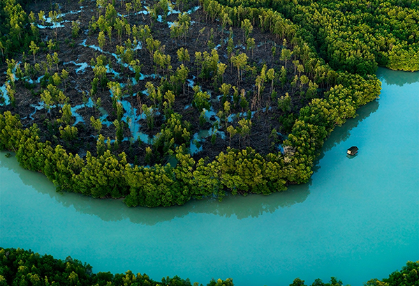 Mangroves fringe the tip of Peninsular Malaysia, in Johor, the southernmost reach of mainland Asia.