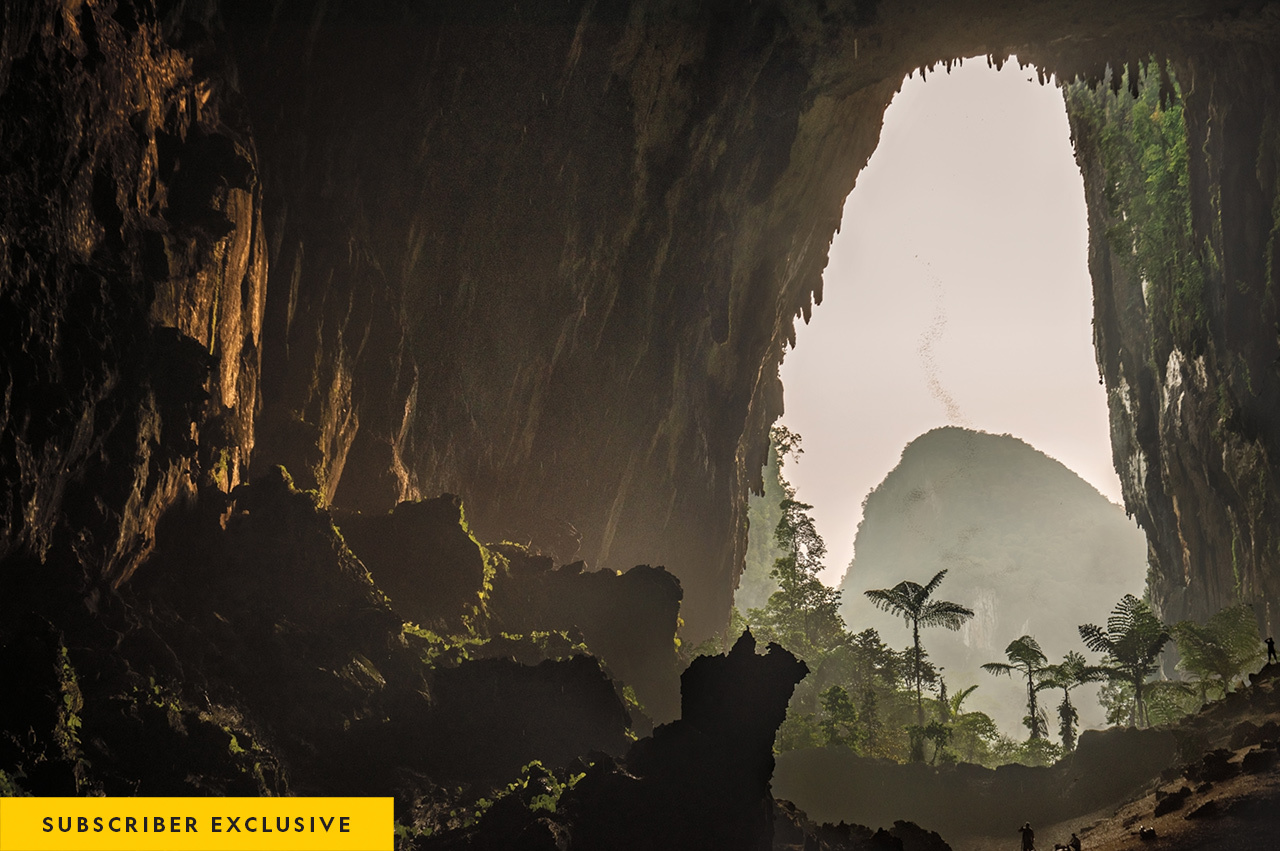 At dusk, a swarm of bats disperses to hunt in the rainforest surrounding Deer Cave. One of the planet’s largest underground passages, it holds more than two million bats.