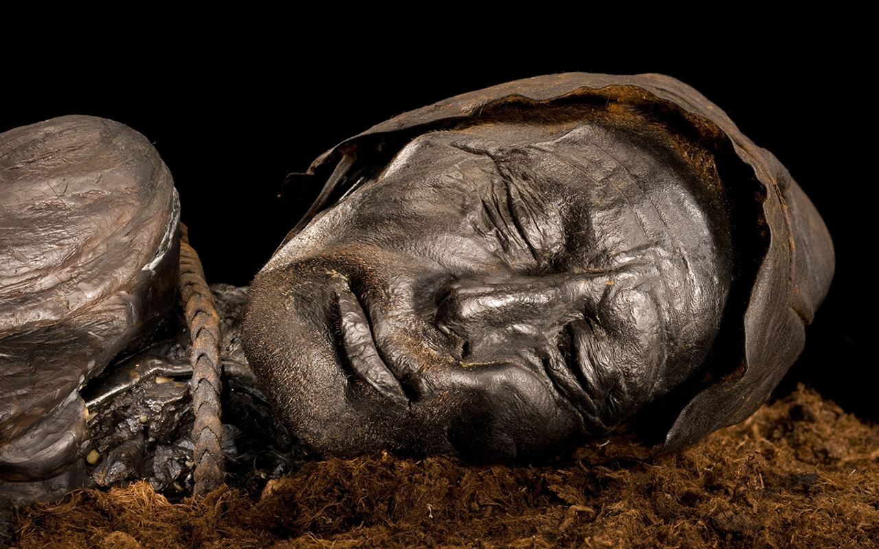 Tollund Man was hanged with a leather noose and cast into a Danish bog some 2,400 years ago.