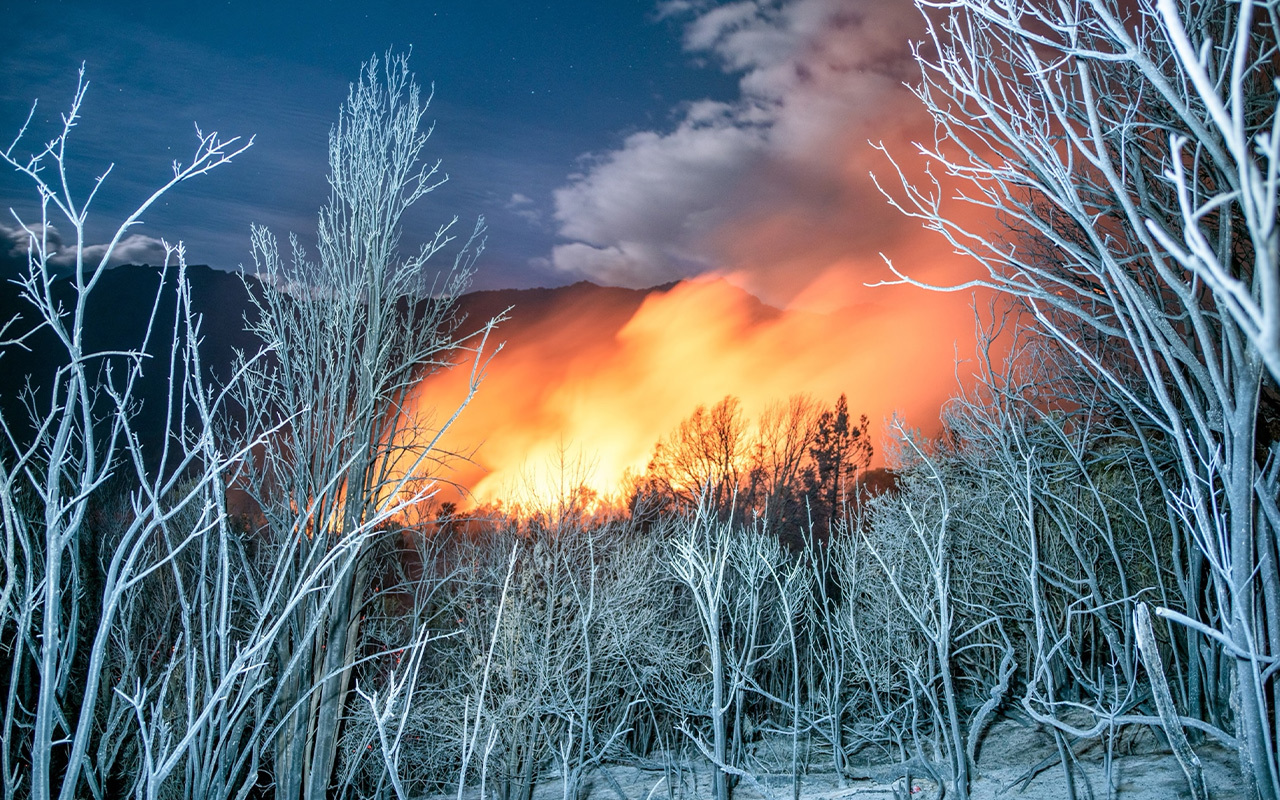 An area of native vegetation was burned to ashes by a campfire in January 2021 on the outskirts of El Bolsón, Argentina.