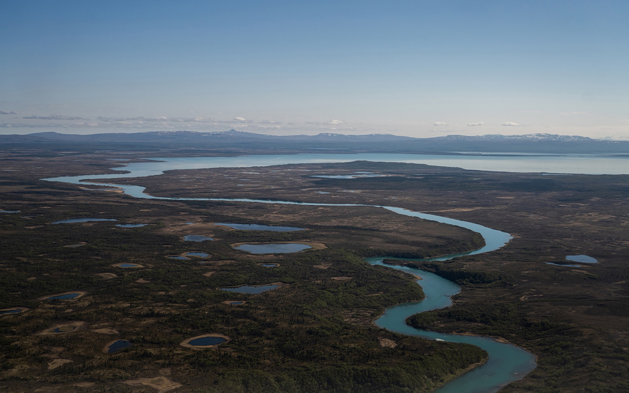 The Naknek River is 35-miles long and flows into Kvichak Bay, an arm of Bristol Bay, host to the largest sockeye salmon run in the world.