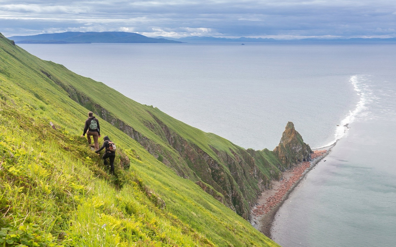 Field technicians Margaret Archibald and Matthew Lorhstorfer take a daily walk around Alaska’s Walrus Islands State Game Sanctuary to monitor the wildlife. The beach below is filled with male Pacific walrus. The sanctuary, established in 1960, is open to adventurous travelers for a few months a year.