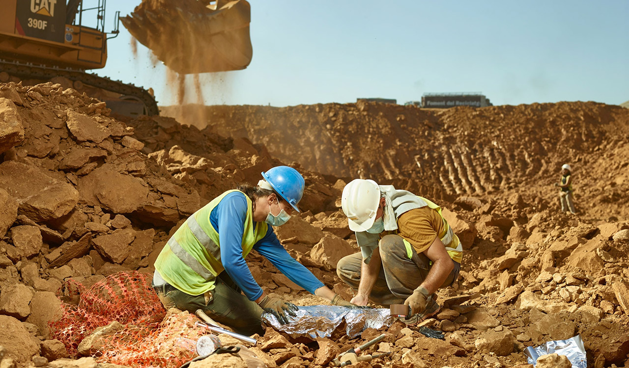 Abocador de Can Mata is one of the largest landfills in Spain. Since 2002, a team of paleontologists from the Miquel Crusafont Catalán Institute of Paleontology (ICP) in Barcelona have found about 70,000 fossils from this period, when the region’s neotropical climate was becoming more arid.