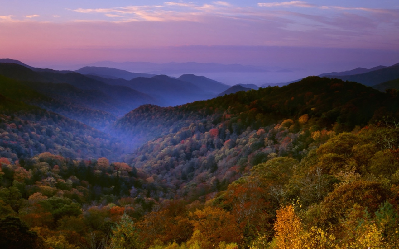 Fog lingers among the forested hills of Great Smoky Mountains National Park, which spans the southern Appalachians along the border between Tennessee and North Carolina. Water and hydrocarbons exuded by trees produce the filmy "smoke" that gives the mountains their name.