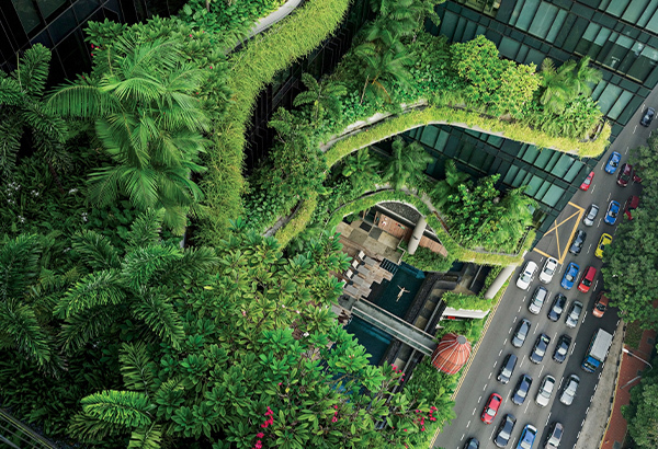 High above city streets, flourishing foliage clings to the facade of Parkroyal on Pickering.