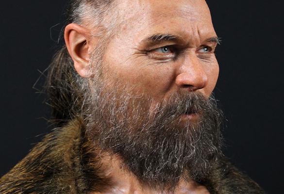 The partial skull used to reconstruct the face of this man was discovered with other human crania and animal jawbones that had been deposited in a Swedish lake around 6,000 B.C. The artist who reconstructed this man chose to give him a cape made from wild boar—one of the animal species also found in the lake.