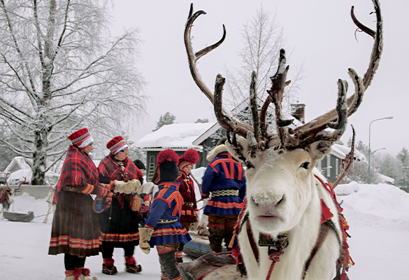 Watching a reindeer race is a must-do at the Jokkmokk Winter Market.