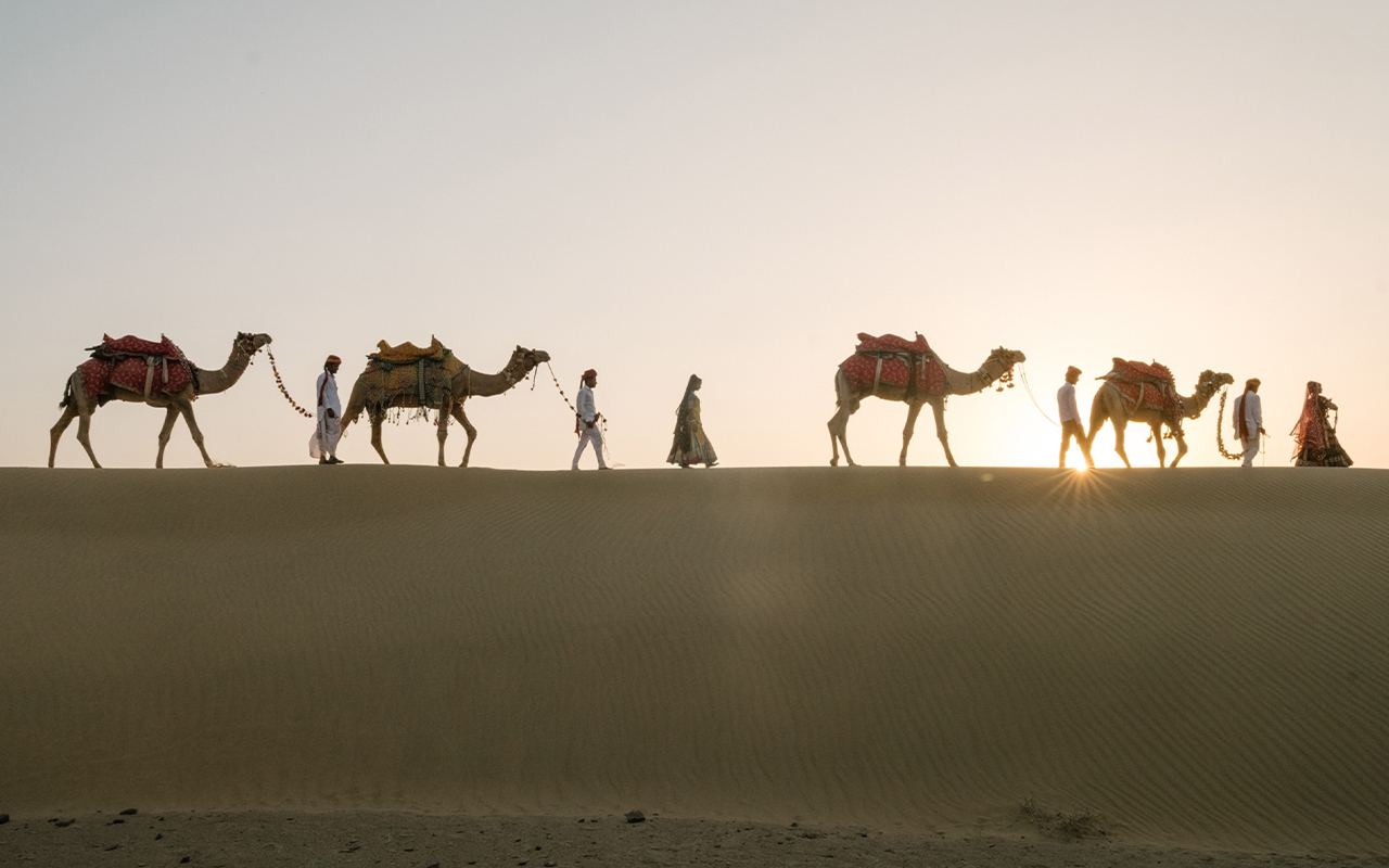 Camels are silhouetted against the setting sun in the Thar Desert, a region on the border of India and Pakistan.