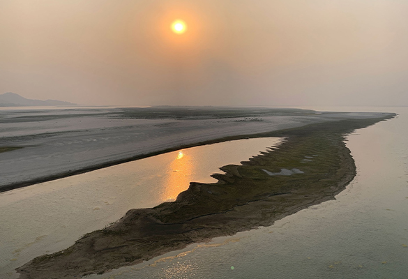 Countless shifting islands and sand spits called chars dot the middle reaches of the Brahmaputra River. This one near Jogighopa, in Assam, is nearly a mile long.