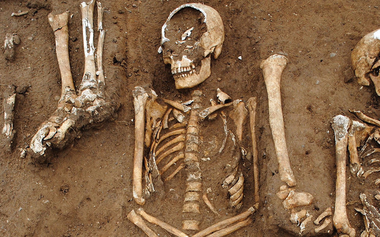 Four dozen individuals were buried in a mass grave (detail above) on the grounds of Thornton Abbey, England, during the plague outbreak of 1348-49.