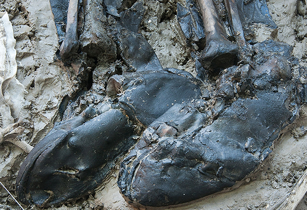 Experts dated the man's leather boots to the late 15th or early 16th century.