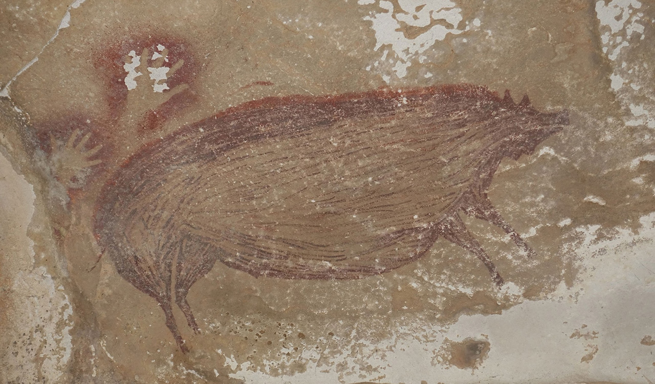 The strikingly large porcine creature in the cave painting might reflect a prime hunting target for the ancient artist.