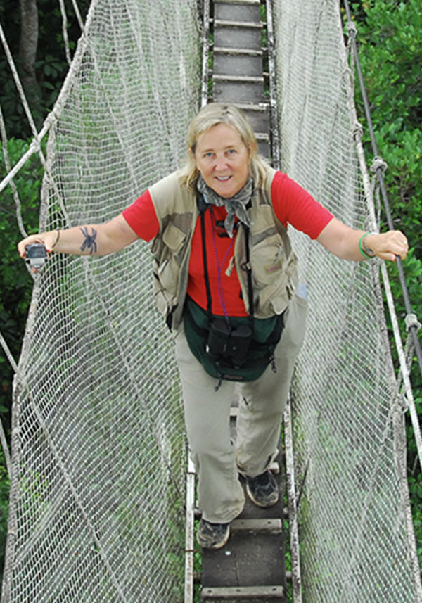 Forest canopy biologist Meg Lowman looks up from a hanging bridge in the rainforest