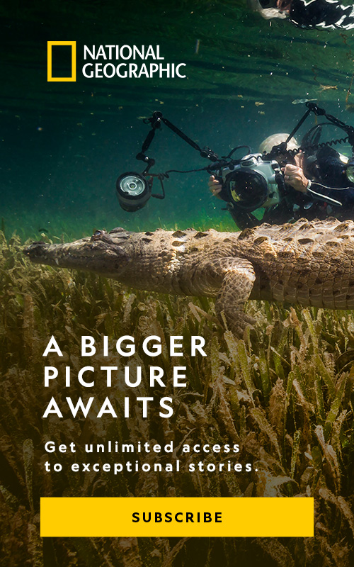 A bigger picture awaits. Get unlimited access to exceptional stories. Subscribe.