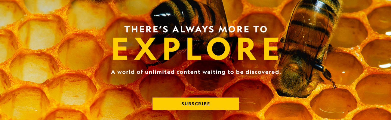 There's always more to explore. A world of unlimited content waiting to be discovered. Subscribe.