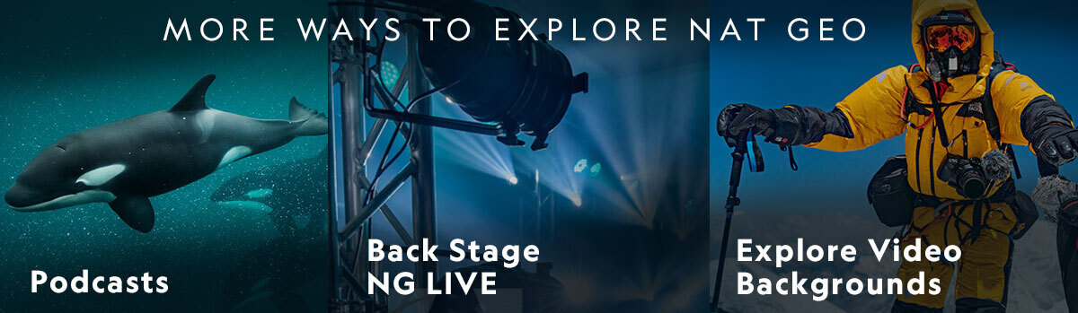 More ways to explore Nat Geo. Podcasts. Back stage NG Live. Explore video backgrounds.