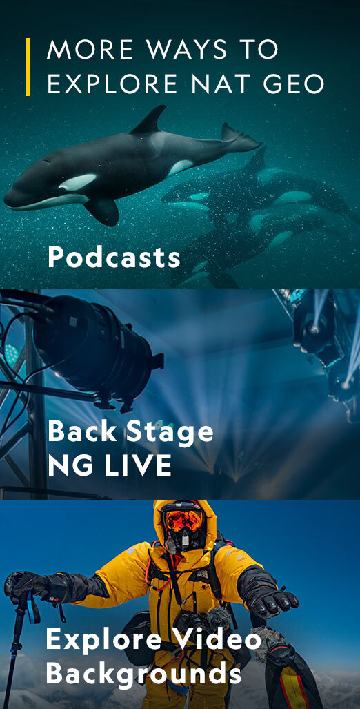 More ways to explore Nat Geo. Podcasts. Back Stage Live. Explore video backgrounds.