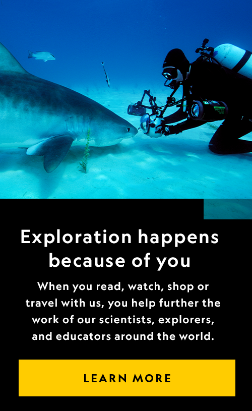 Exploration happens because of you - When you reach, watch, shop, or travel with us, you help further the work of our scientists, explorers, and educators around the world - Learn More