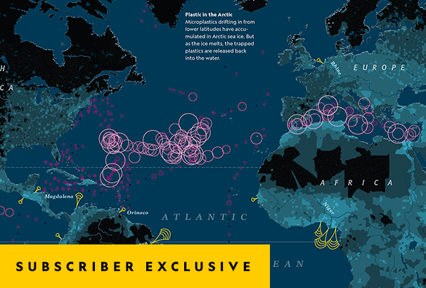 Map tracks the movement of plastics across oceans