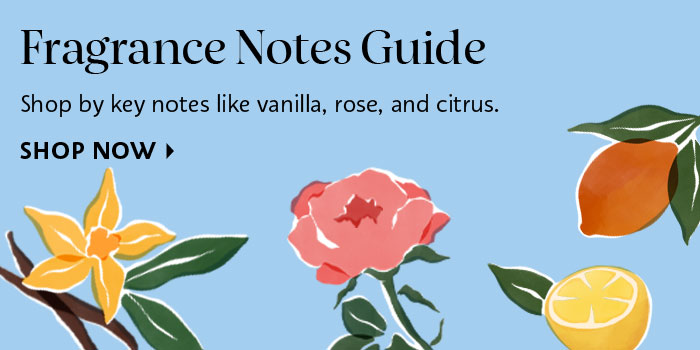 Fragrance Notes Guide