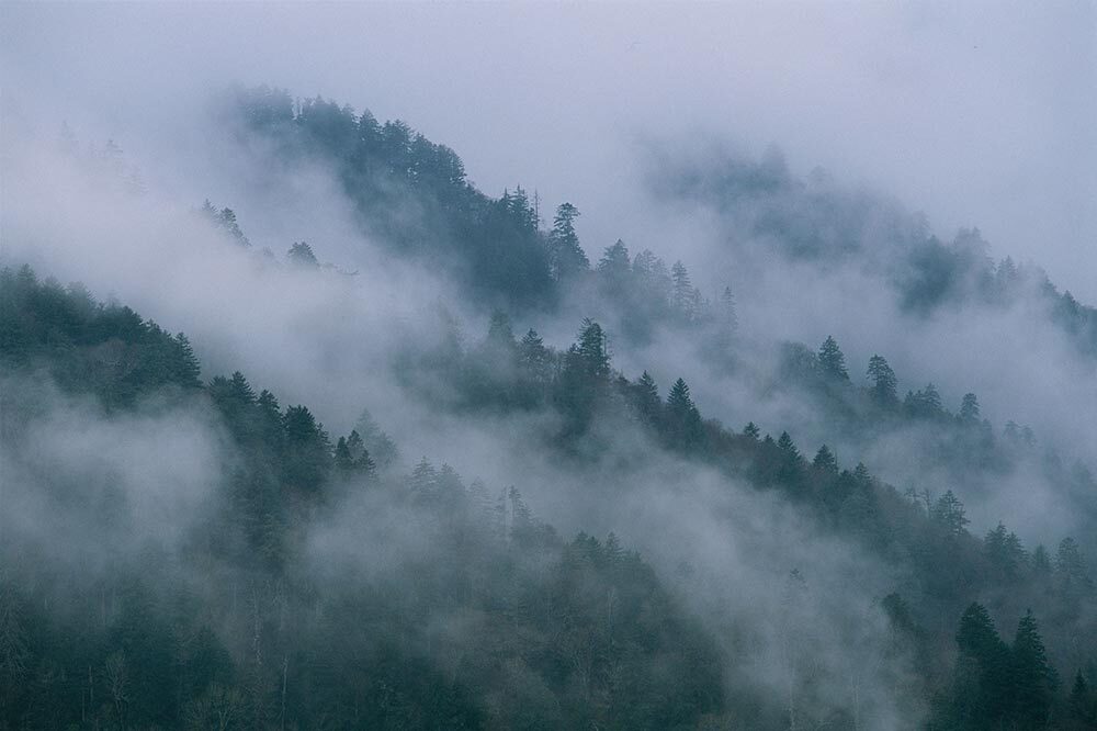 the Appalachian Mountains draped in fog