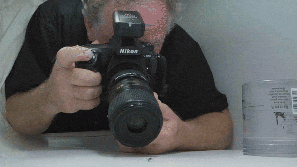 A video of photographer Joel Sartore attempting to photograph a Miami tiger beetle