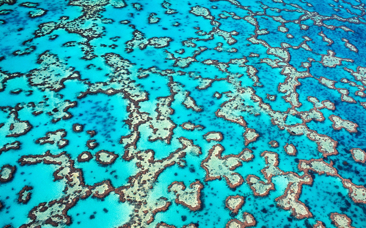 An aerial view of the Great Barrier Reef, Australia.