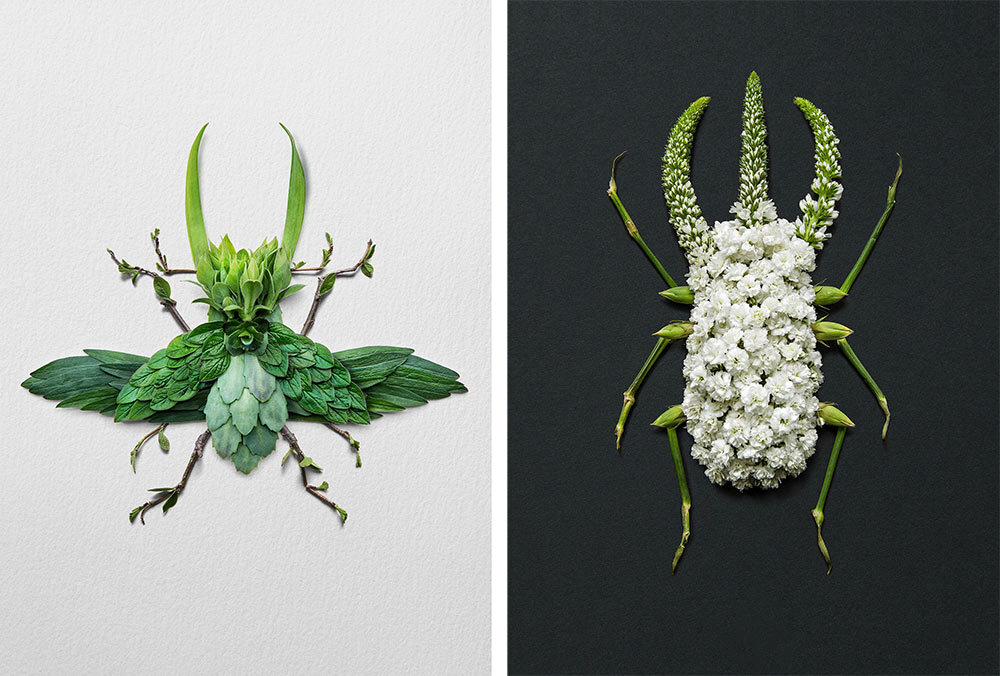 A stag and horn beetle made out of plants