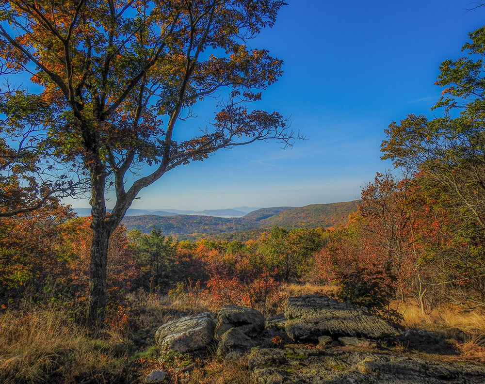 A landscape bathed in golden light