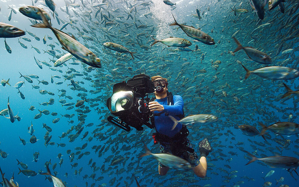 A diver with a camera swims through a school of fish