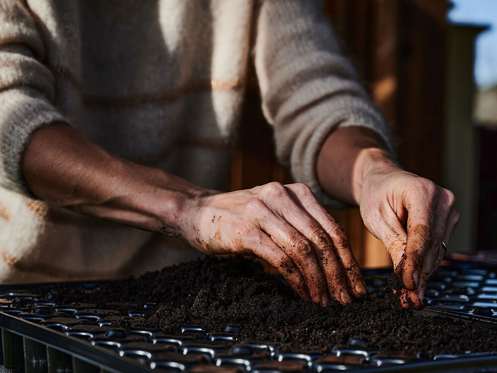 A photograph of dirty hands working with dirt on a tray