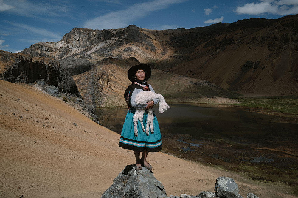 An alpaca farmer cradling a baby alpaca in Peru