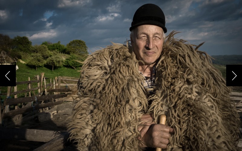 Intimately familiar with the land his family has worked for a century, Constantin Dăncilă, in a traditional sheepskin coat, has seen significant changes in the environment, prompting him to adapt his farming practices. With less snow in winter to supply streams, grass in the valley has become scarce, so he drives his flock higher into the alpine meadows. 