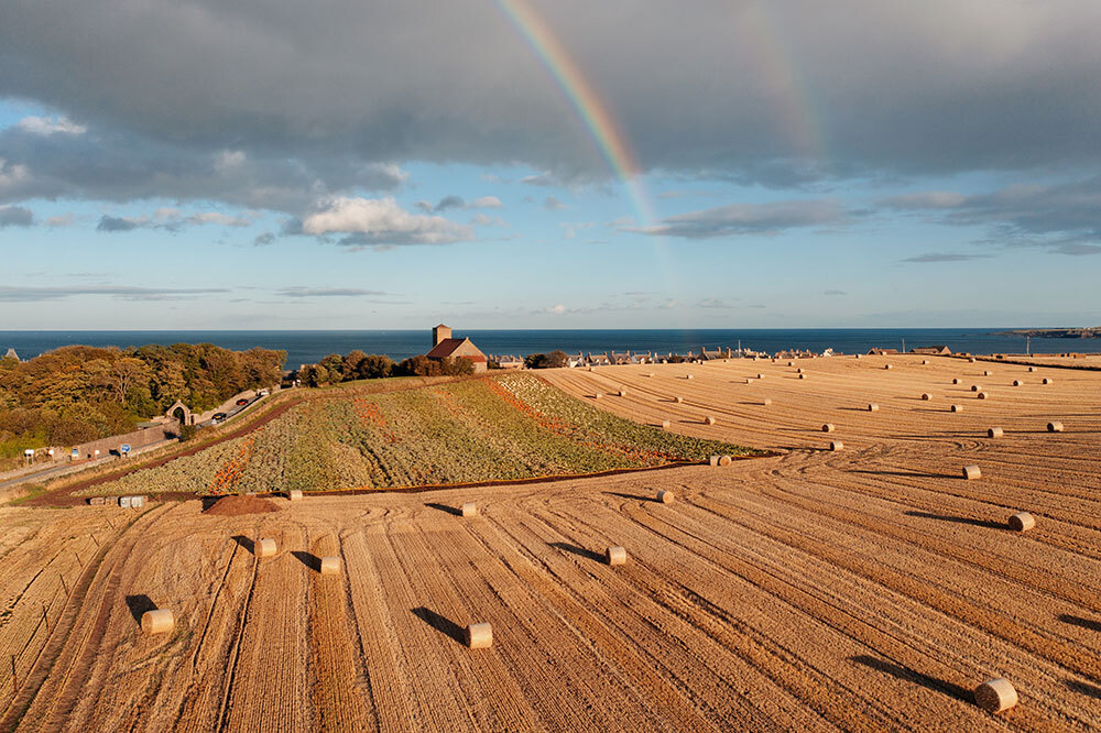 A picture of a field with hay bales with a rainbow in the sky