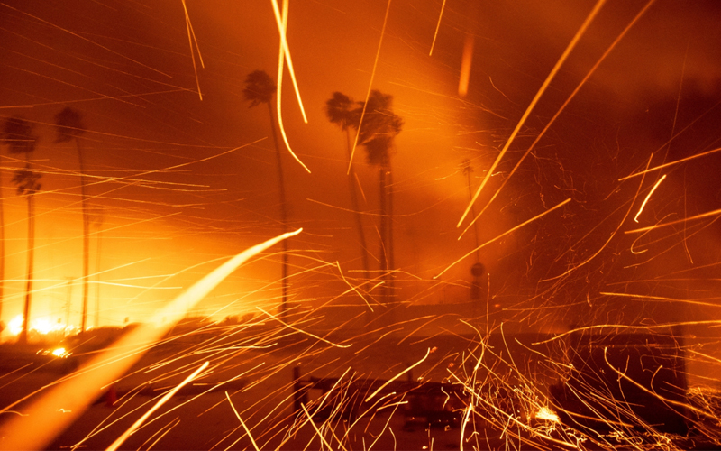 Strong Santa Ana winds whipped embers as the Palisades Fires grew on the west side of Los Angeles on January 7, 2025. Fires are a natural feature of Western ecosystems, but they have become larger and deadlier in recent years. 