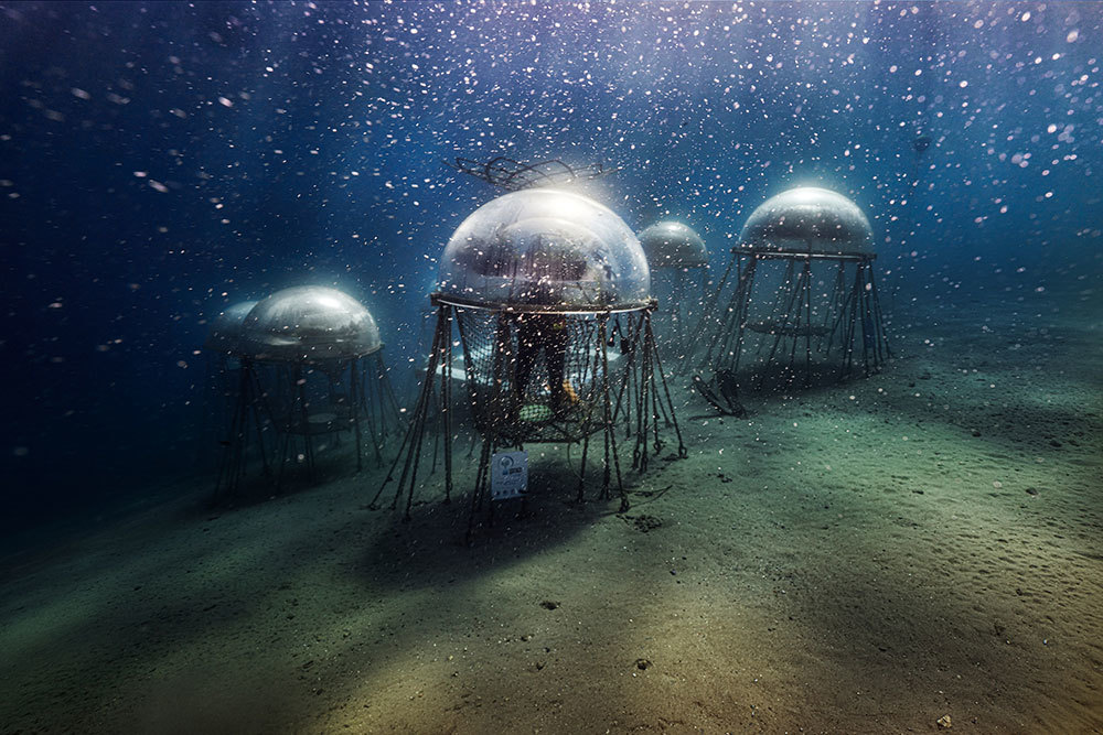 A picture of large orbs underwater