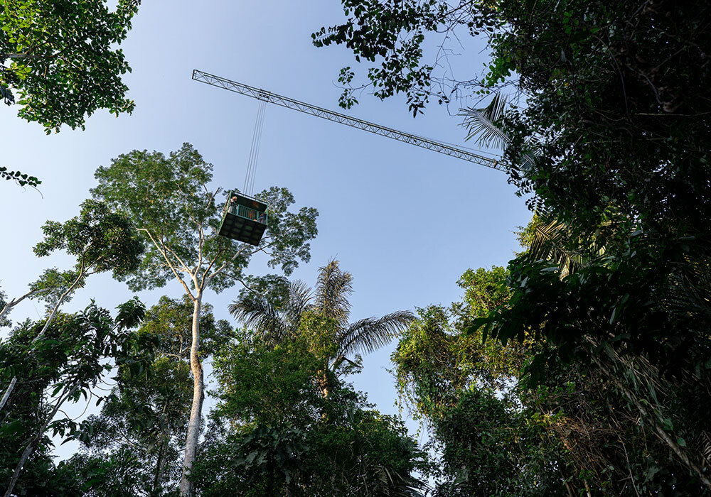 a crane above the rainforest