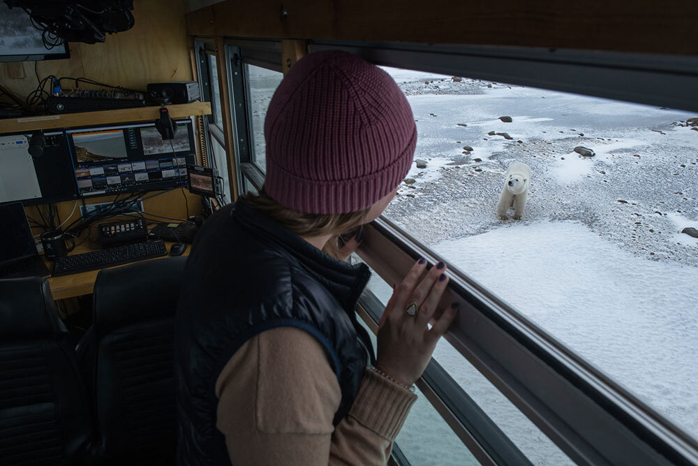 A picture of a person looking out the window a at a polar bear