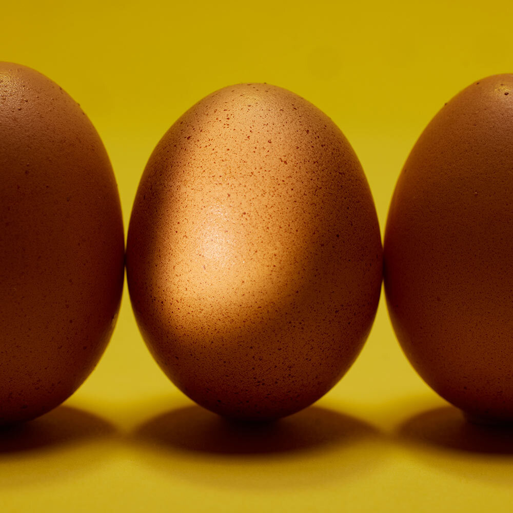 Pasture-raised eggs photographed on a yellow backdrop