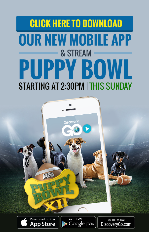 Stream the Puppy Bowl