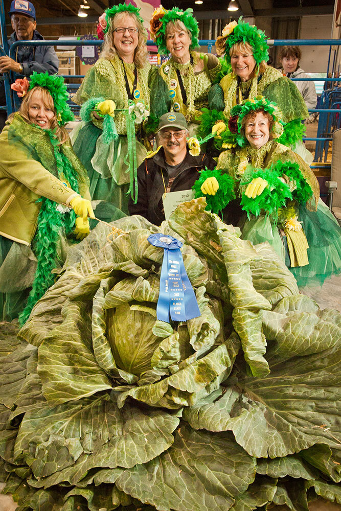 Scott Robb with his new world record 137.8 lb cabbage at the Alaska State Fair in Palmer, Alaska.