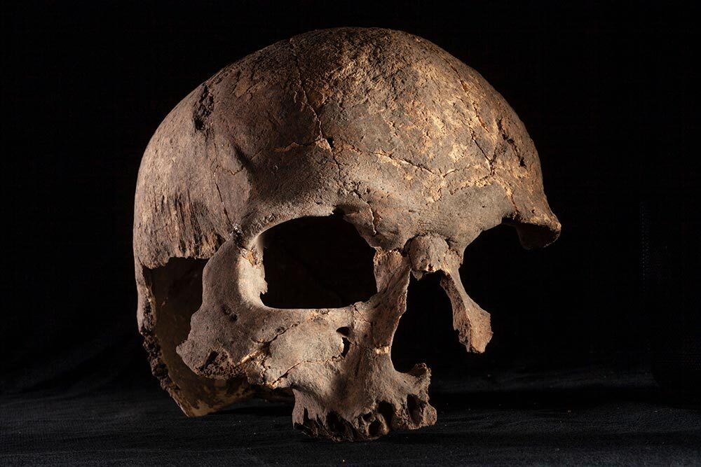 a fragmented human skull found in an archeological site on a black backdrop