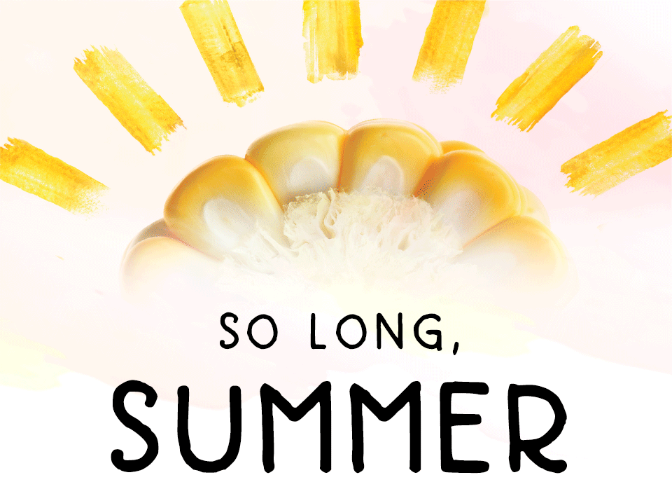 SO LONG, SUMMER