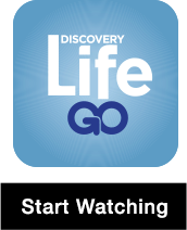 Discovery Life GO - Start Watching