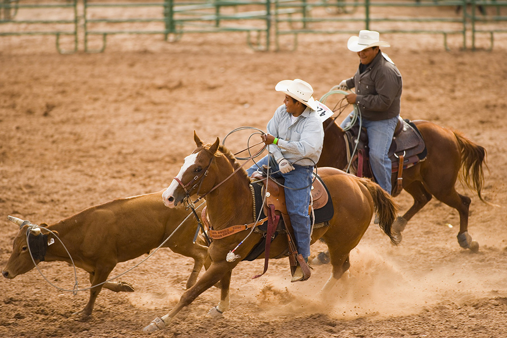 Riders compete in the Team Steer Roping event at a rodeo