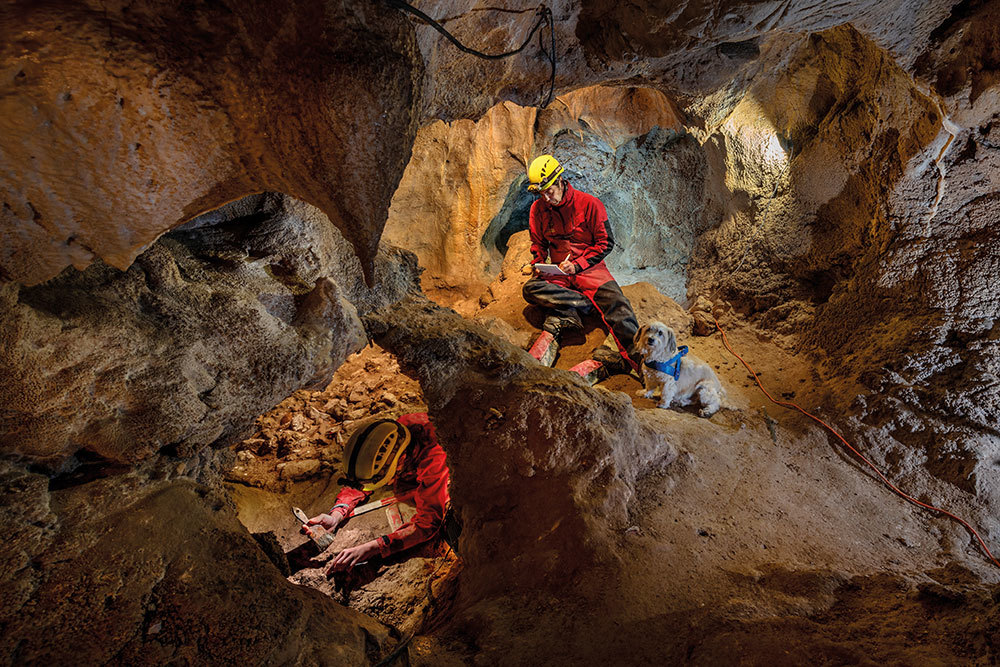 A picture of scientists taking notes in a cave with a small dog