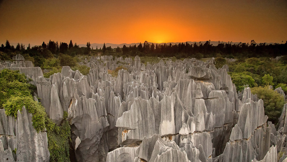 Limestone landscapes, like this one in the Stone Forest in China’s Yunnan Province, would be hard to find elsewhere in our solar system. That’s because the life on our planet makes limestone plentiful.