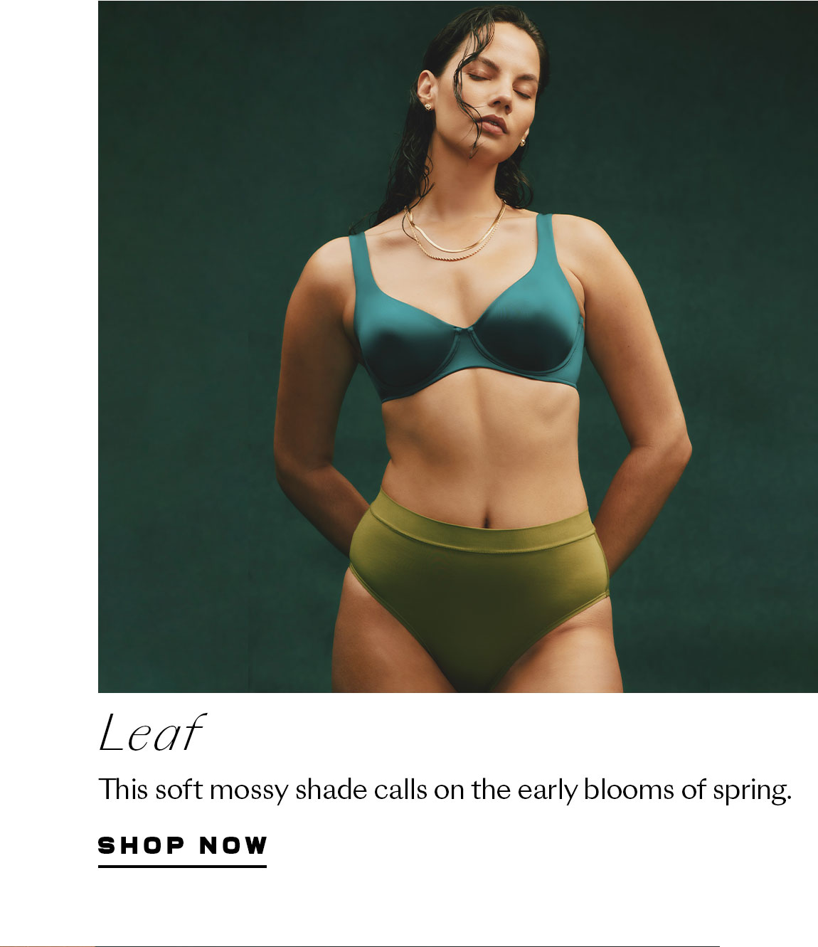 Shop Leaf