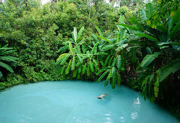 In Jalapão State Park, fervedouros are unique karst springs that provide a cool oasis in Brazil’s dry Cerrado, South America’s largest savanna. Fervedouro do Ceica is the biggest such spring known in Jalapão.