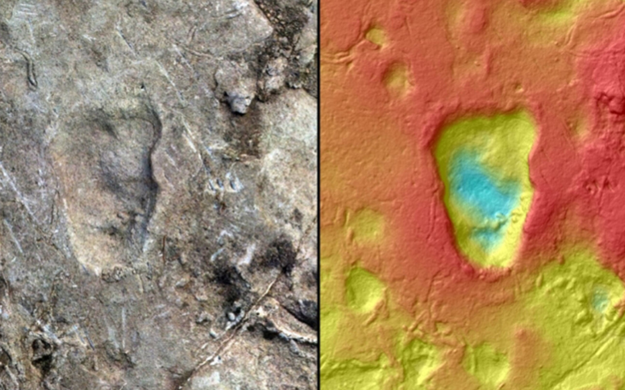 Model of Laetoli Site A using photogrammetry showing five hominin footprints and corresponding contour map of the site at Laetoli, Tanzania, generated from a 3D surface scan.